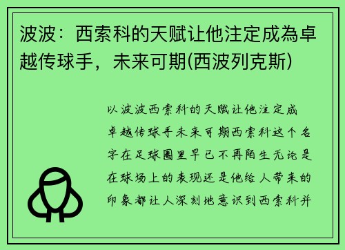波波：西索科的天赋让他注定成為卓越传球手，未来可期(西波列克斯)
