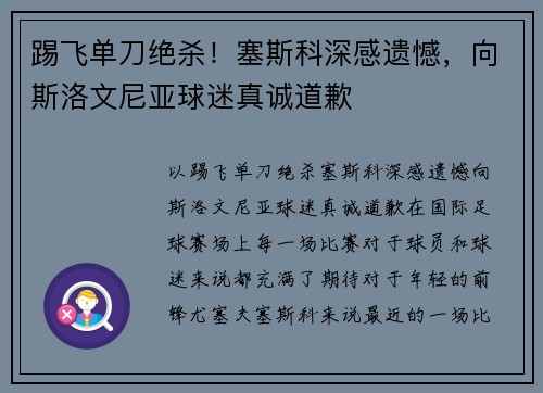 踢飞单刀绝杀！塞斯科深感遗憾，向斯洛文尼亚球迷真诚道歉