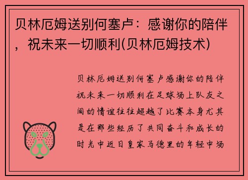 贝林厄姆送别何塞卢：感谢你的陪伴，祝未来一切顺利(贝林厄姆技术)