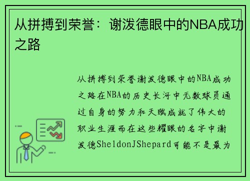 从拼搏到荣誉：谢泼德眼中的NBA成功之路