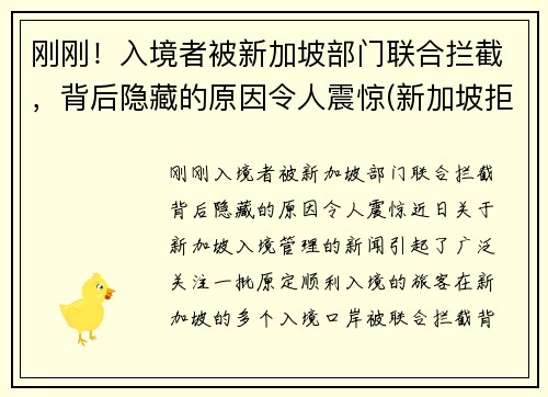 刚刚！入境者被新加坡部门联合拦截，背后隐藏的原因令人震惊(新加坡拒绝入境遣返申诉流程)